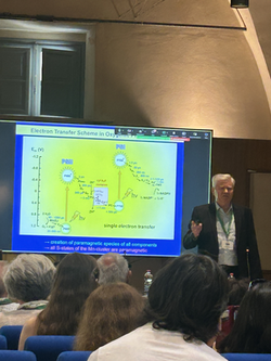 Plenary 3