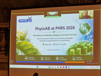 PhytoAB