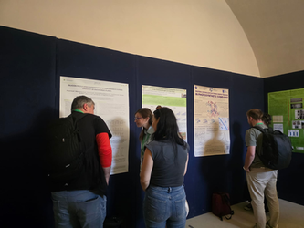 Poster 6